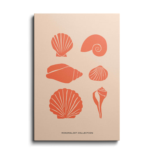 Wildlife painting | Types of Shells | wallstorie