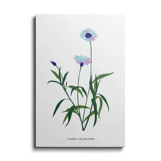 Botanical prints | Blue Calendula | wallstorie