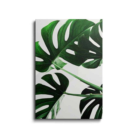 Botanical prints | Monstera Leaf-2 | wallstorie