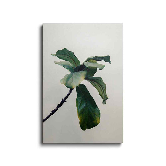 Botanical prints | Root House Plant | wallstorie