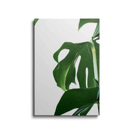 Botanical prints | Betel Leaf | wallstorie