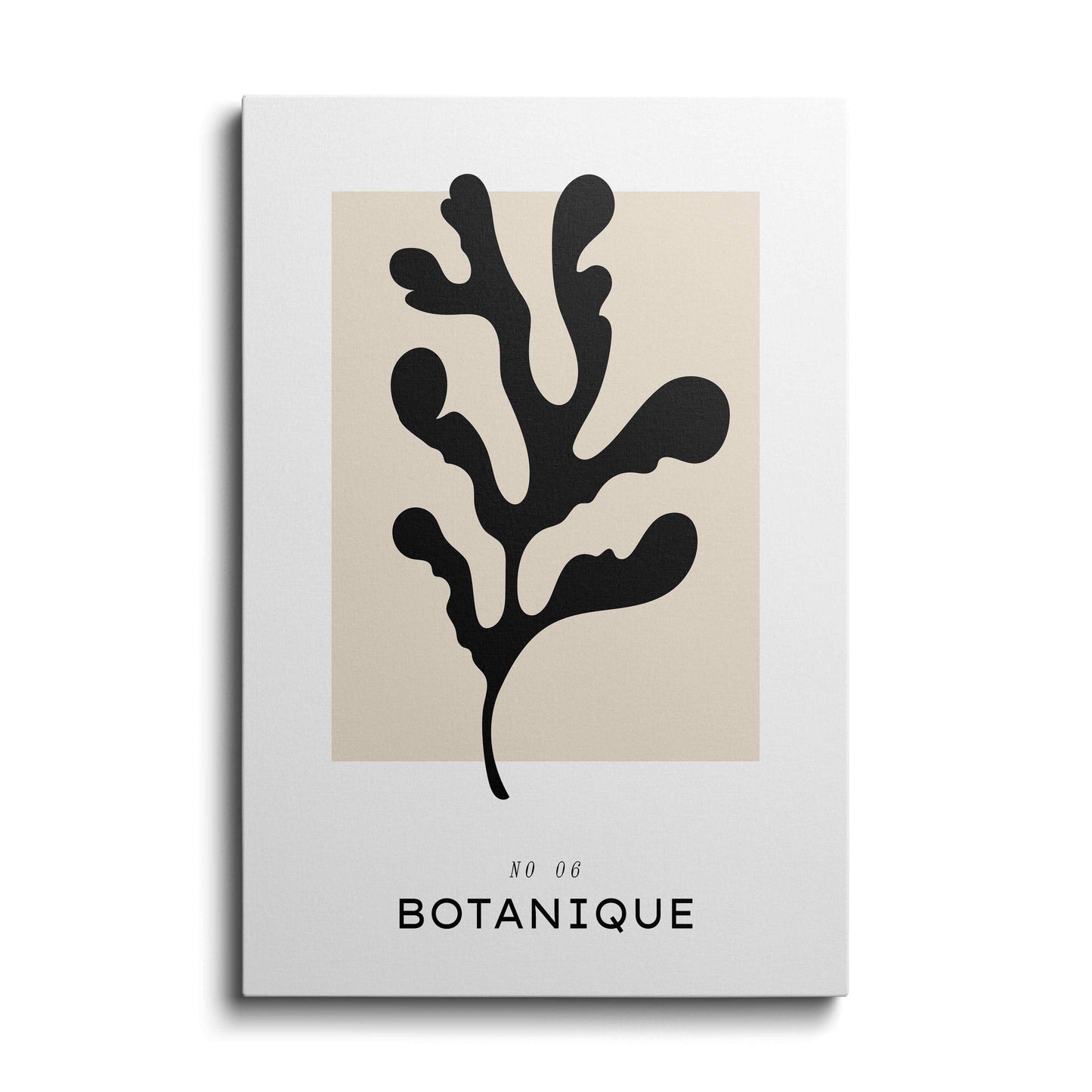 Boho style - Botanique---