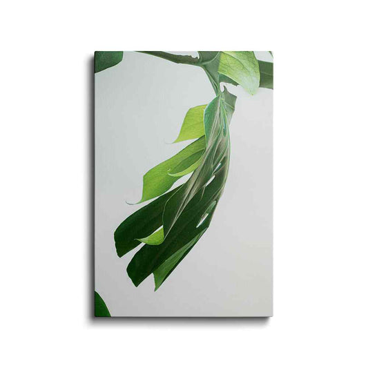 Botanical prints | Green Nature | wallstorie