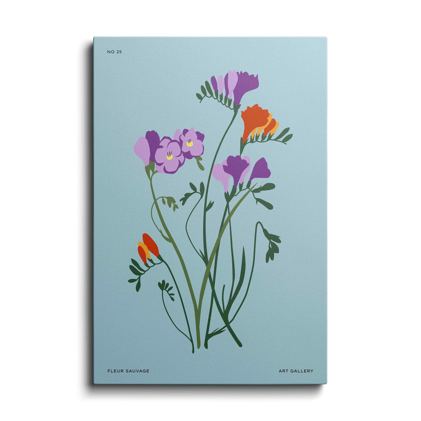 Orange And Purple Tulips---