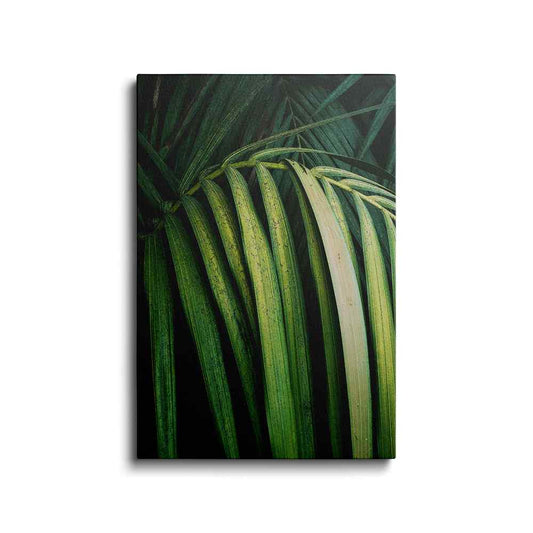 Botanical prints | Plam Forest | wallstorie