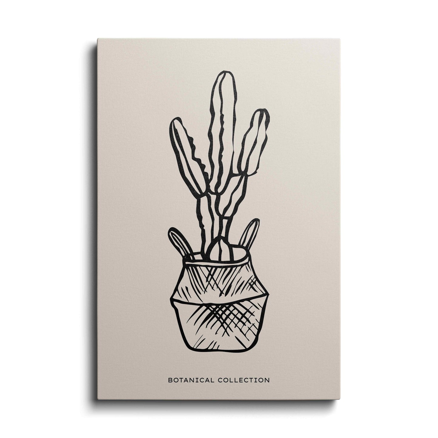 Cactus Pot---