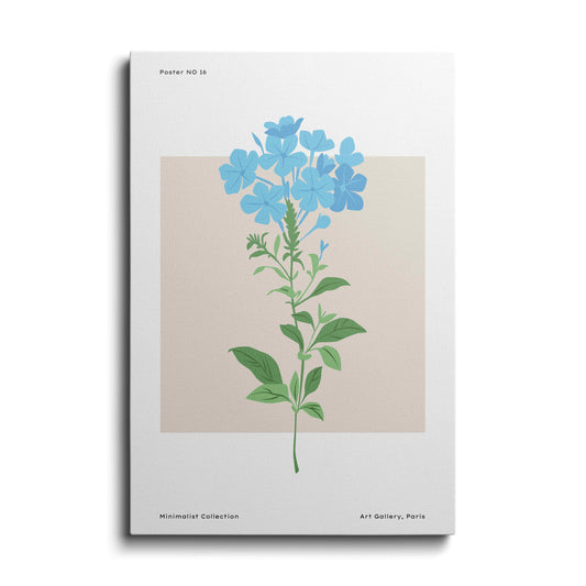 Botanical prints | Blossom of Periwinkle | wallstorie