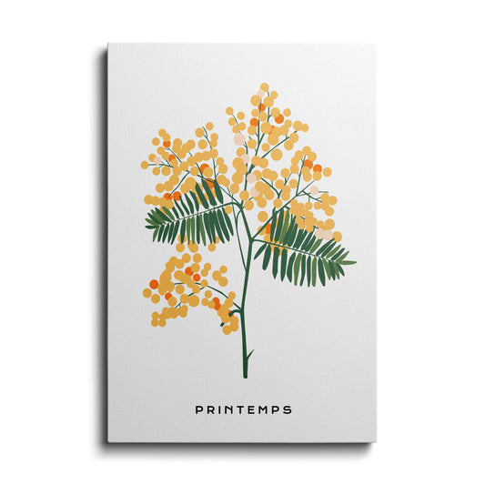 Botanical prints | Cherry Blossom | wallstorie