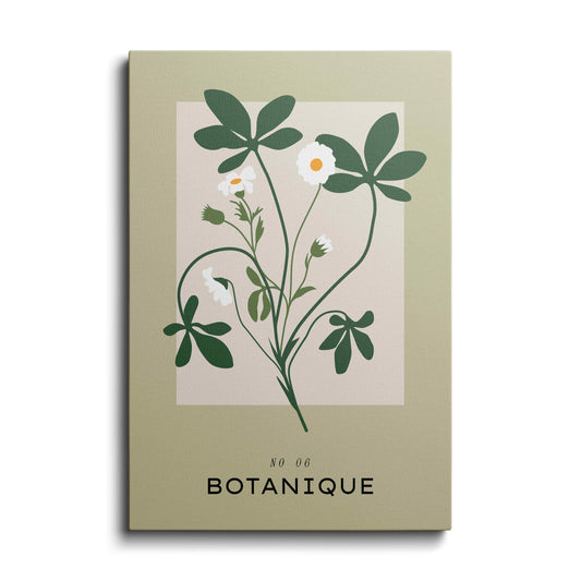Botanical prints | Baby Daisy | wallstorie