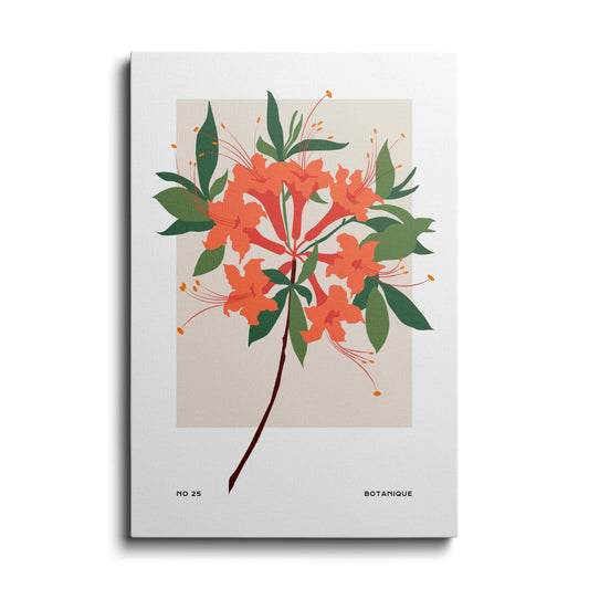 Botanical prints | Orange Magnolia | wallstorie