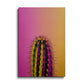 Yellow & Pink Shade Cactus