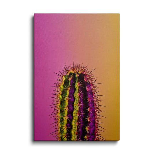 Products | Yellow & Pink Shade Cactus | wallstorie