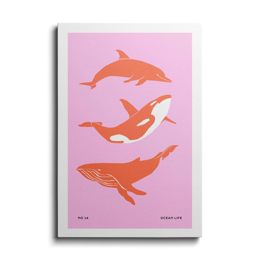Wildlife painting | Types of Whales | wallstorie