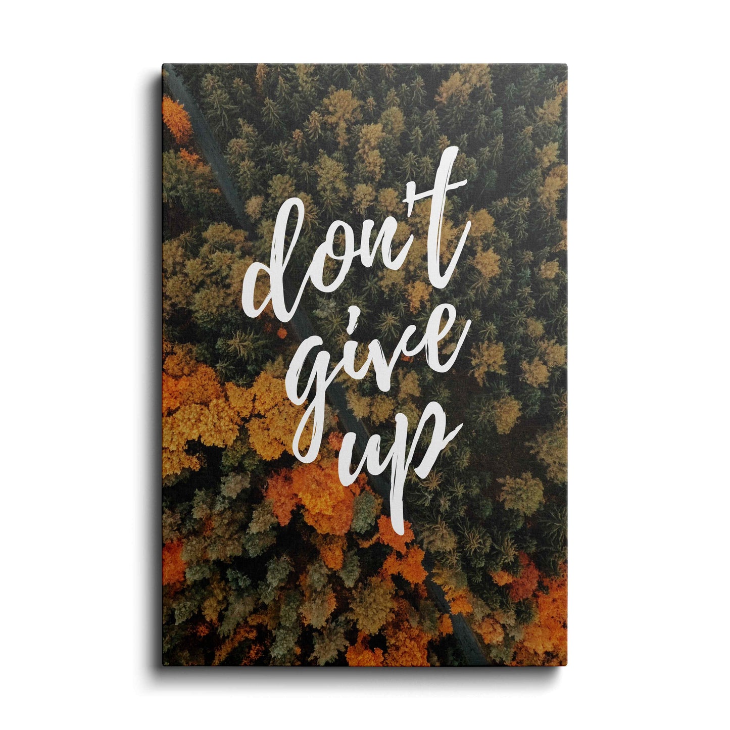 Don't Give Up---