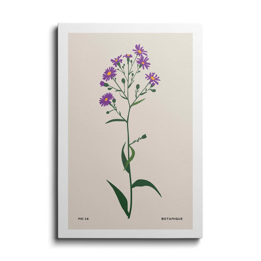 Botanical prints | Periwinkle | wallstorie