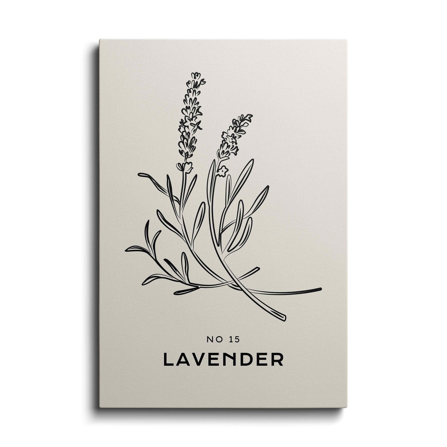 Falling Lavender---