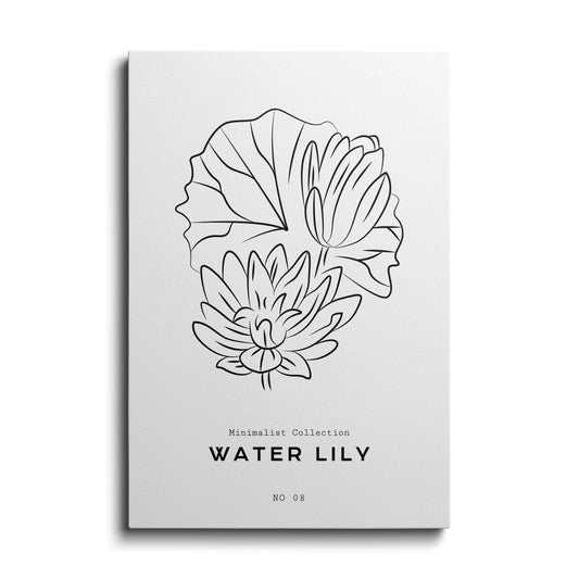 Line art | Water Lily | wallstorie