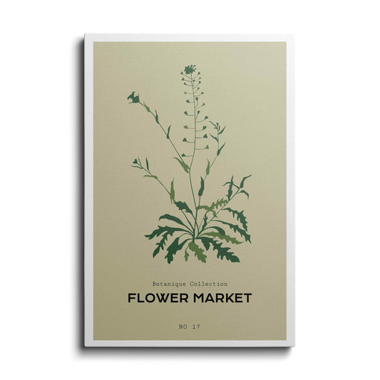 Botanical prints | Common Rasp | wallstorie