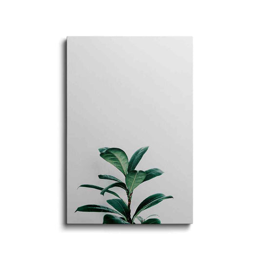 Botanical prints | Pineapple Green Leaf | wallstorie