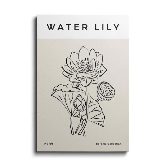 Line art | Water Lotus | wallstorie