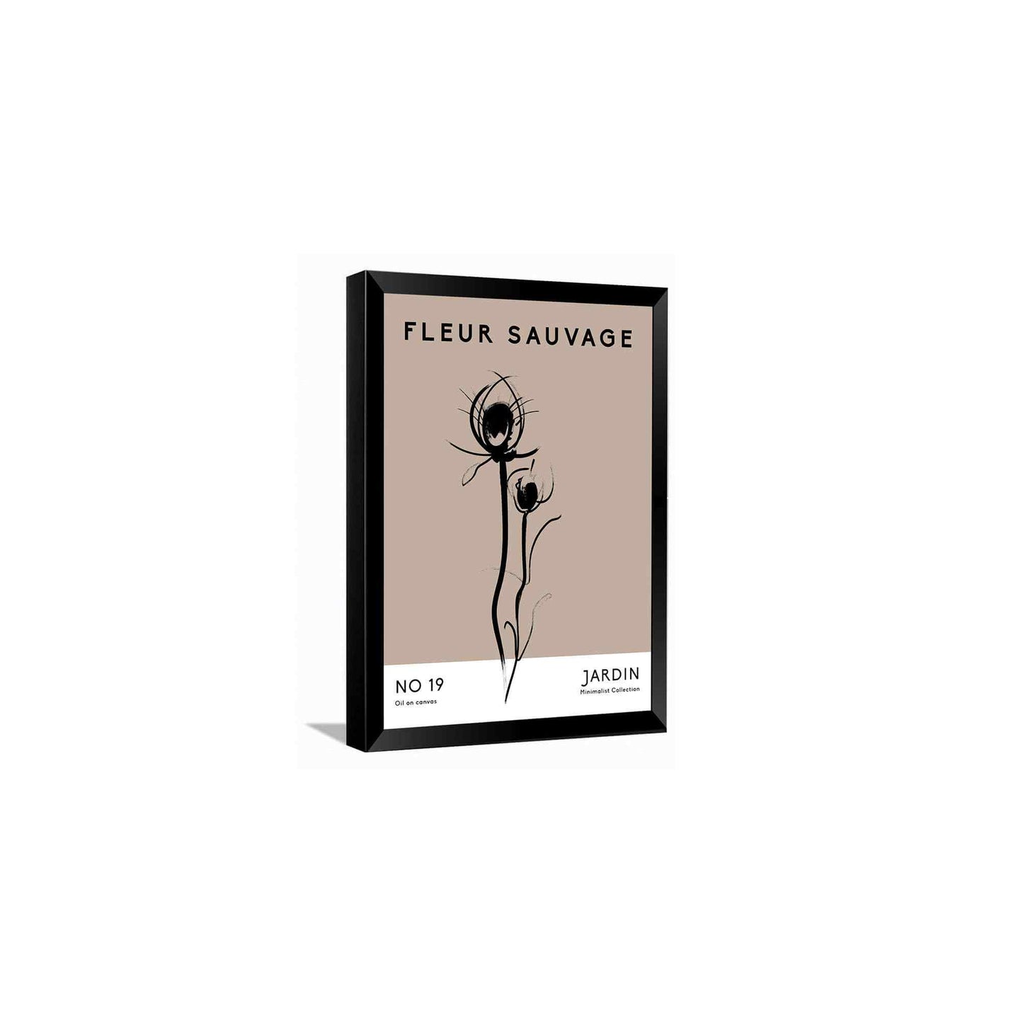 Fleur Sauvage---