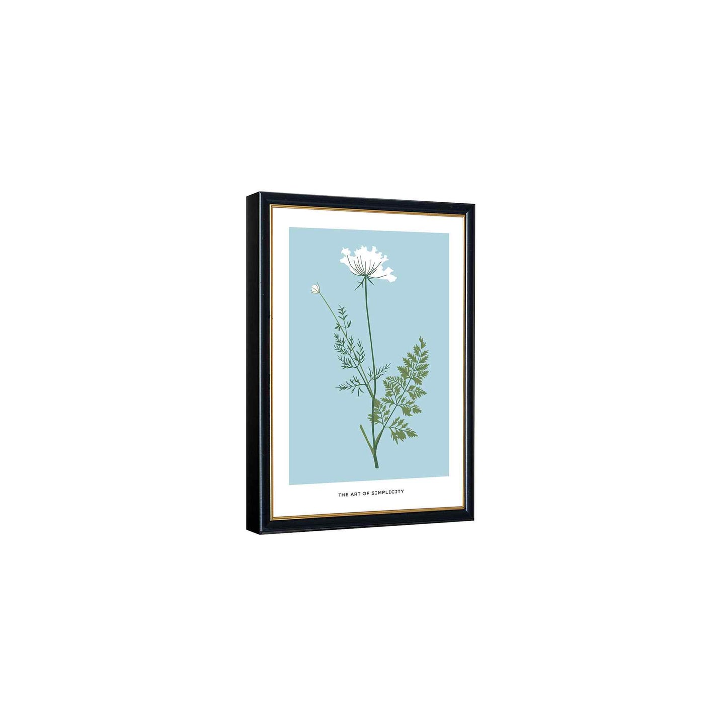 White Honeysuckle Flower---