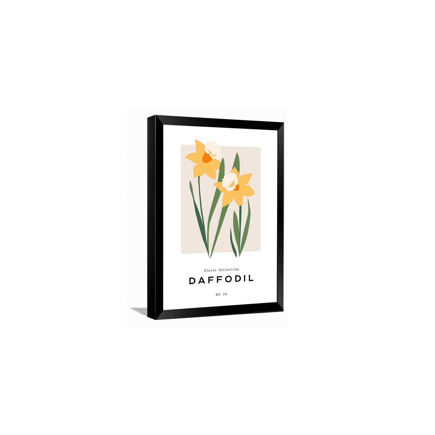 Daffodil in Winter end---