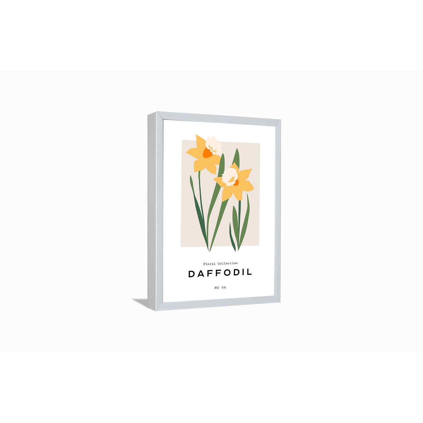 Daffodil in Winter end---