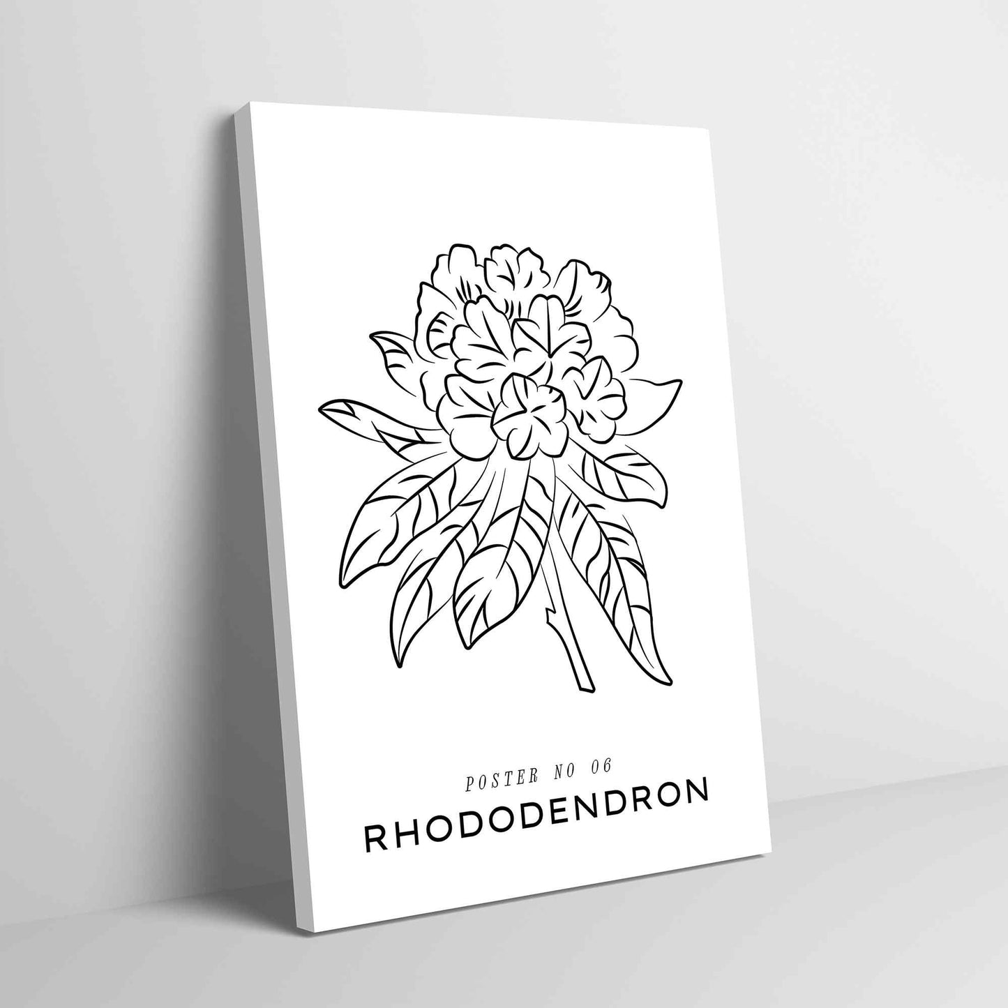 Rhododendron---