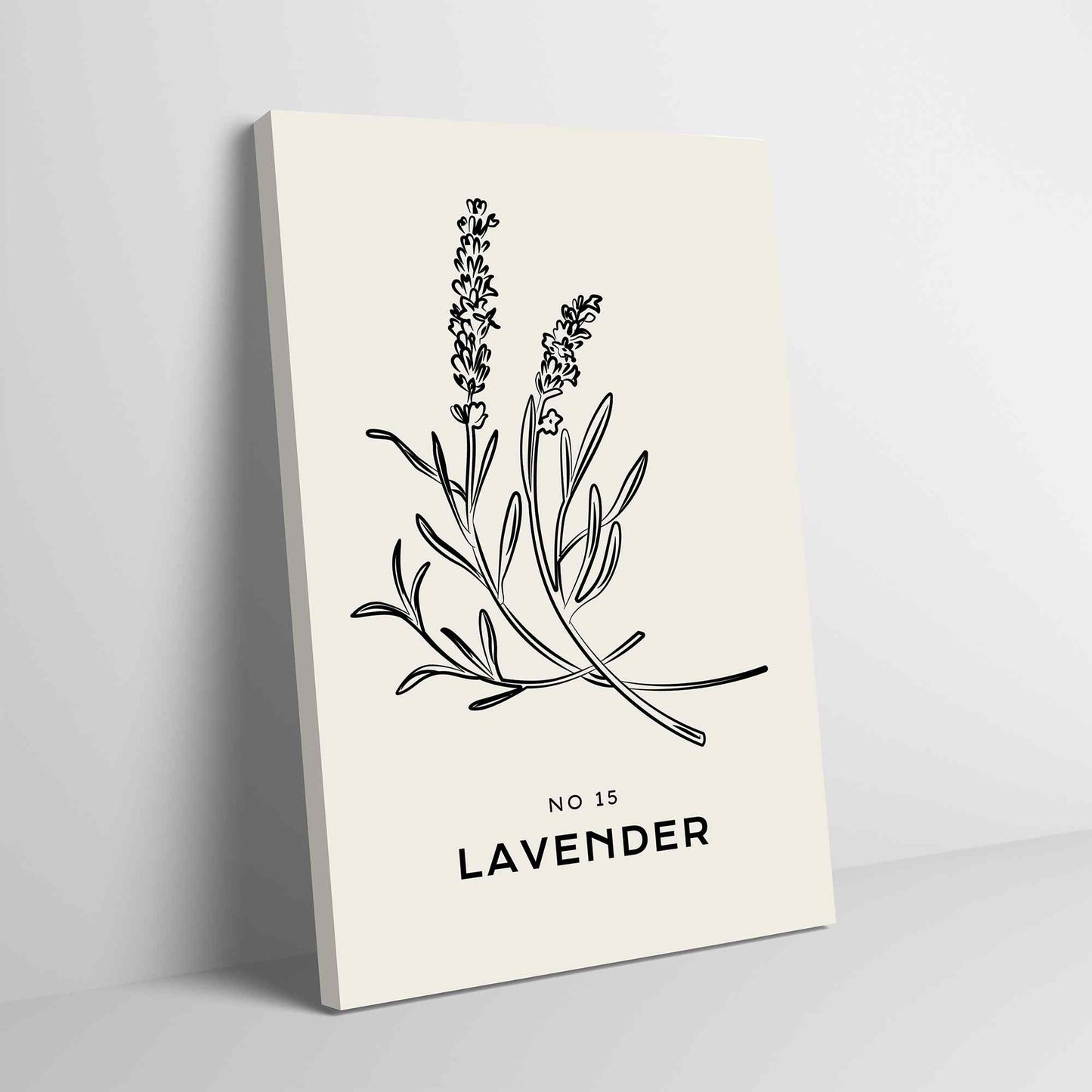 Falling Lavender---