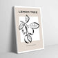 Lemon Tree - 2