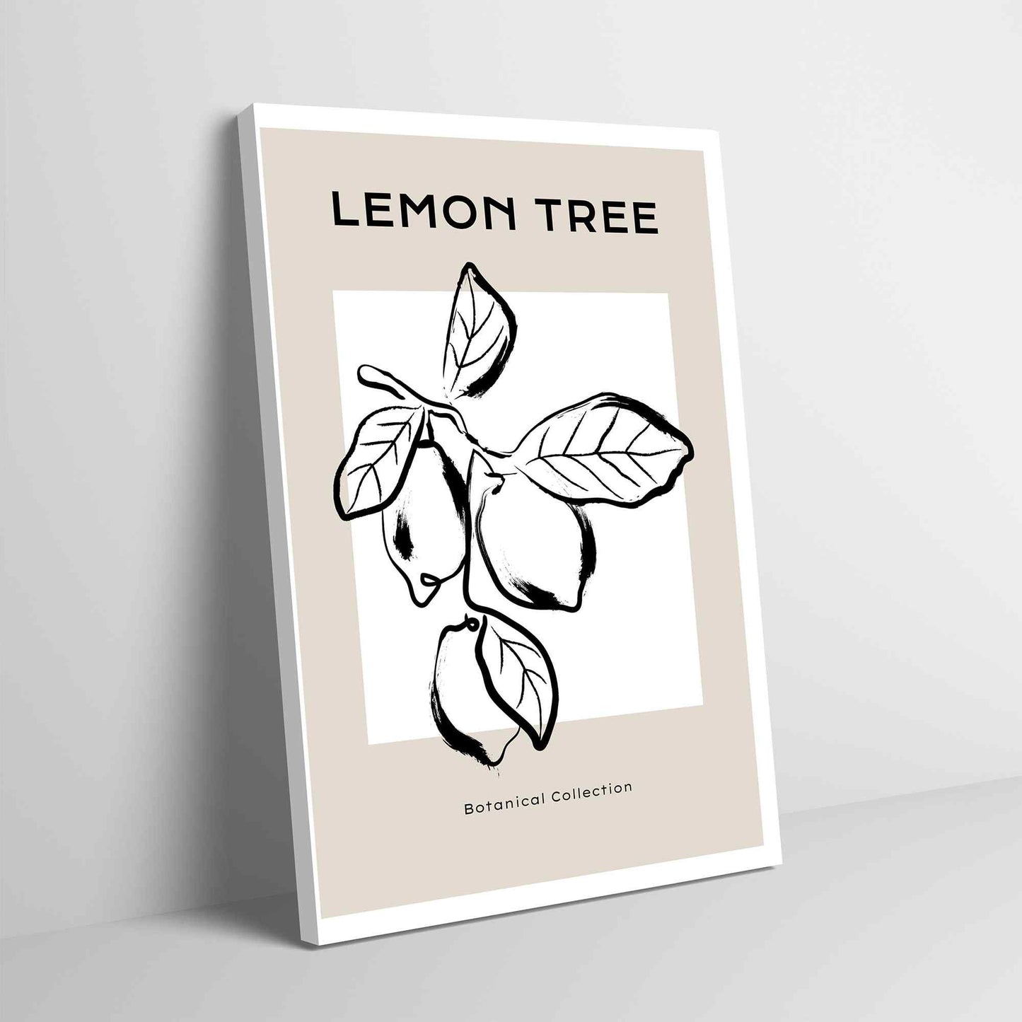 Lemon Tree - 2---