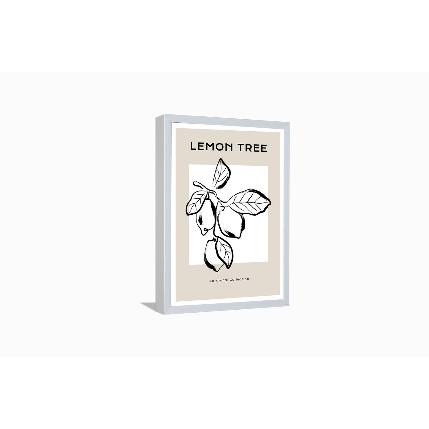 Lemon Tree---
