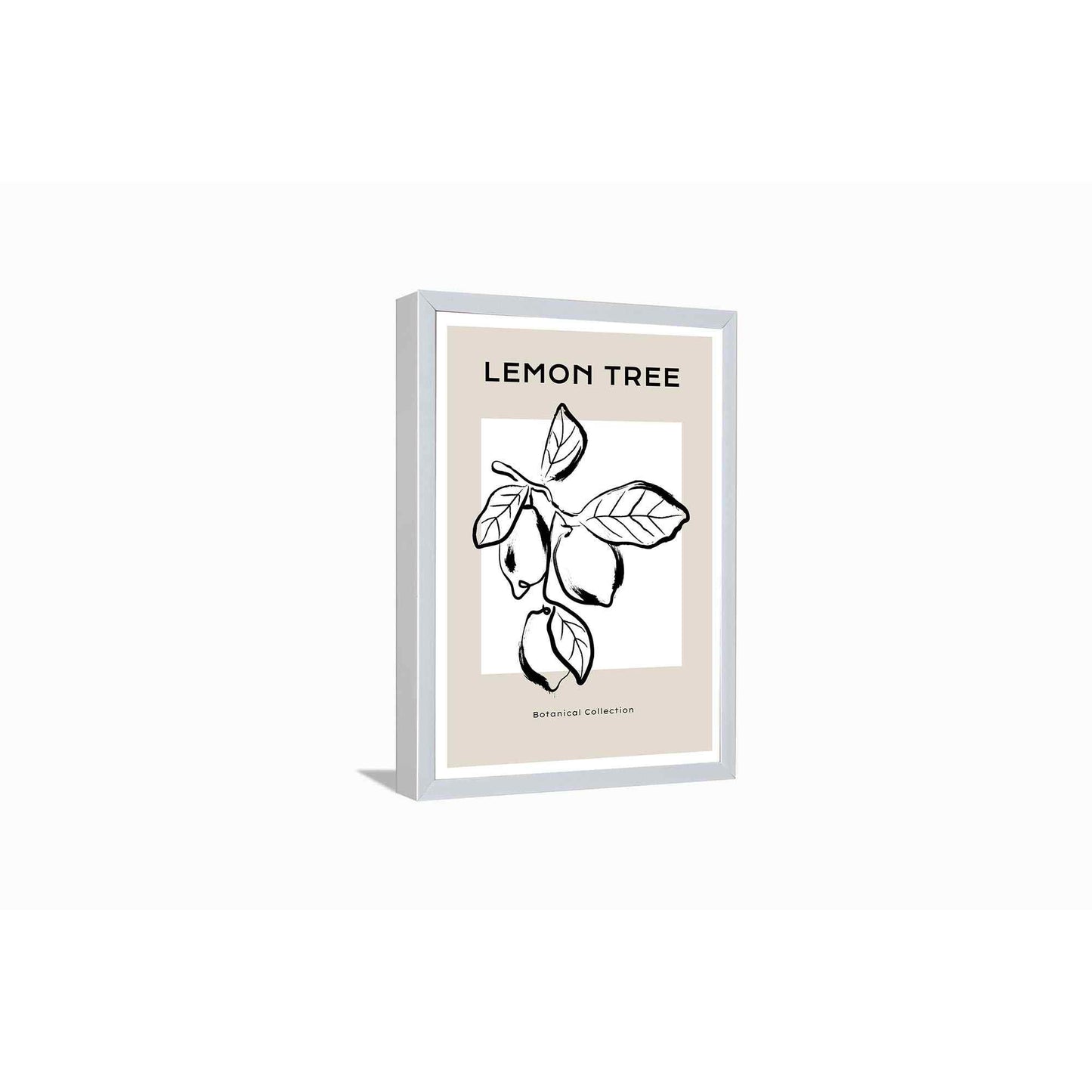 Lemon Tree - 2---