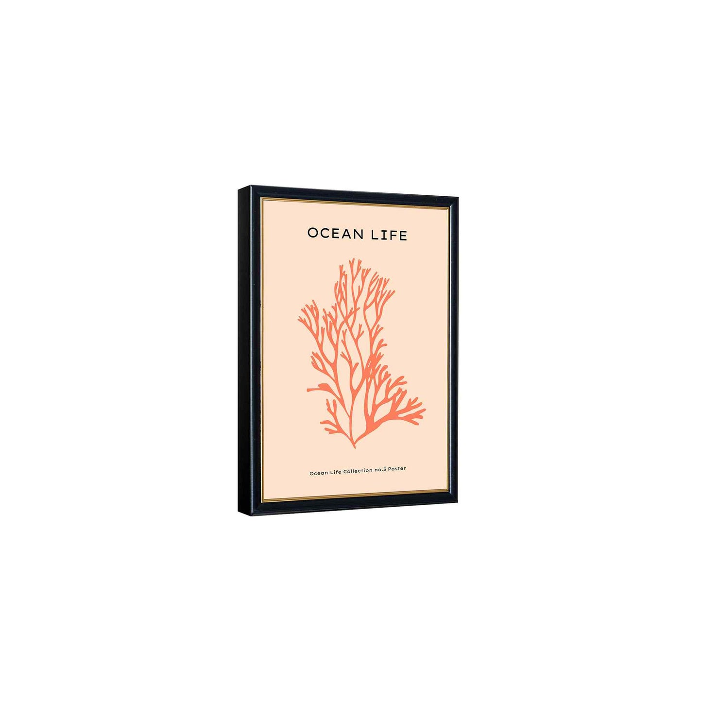 Coral in Ocean---