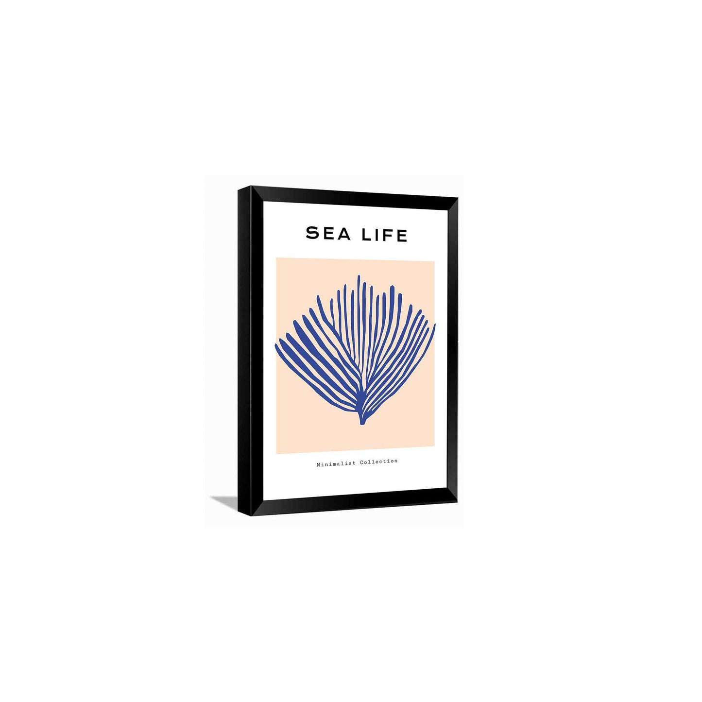 Sea Life---