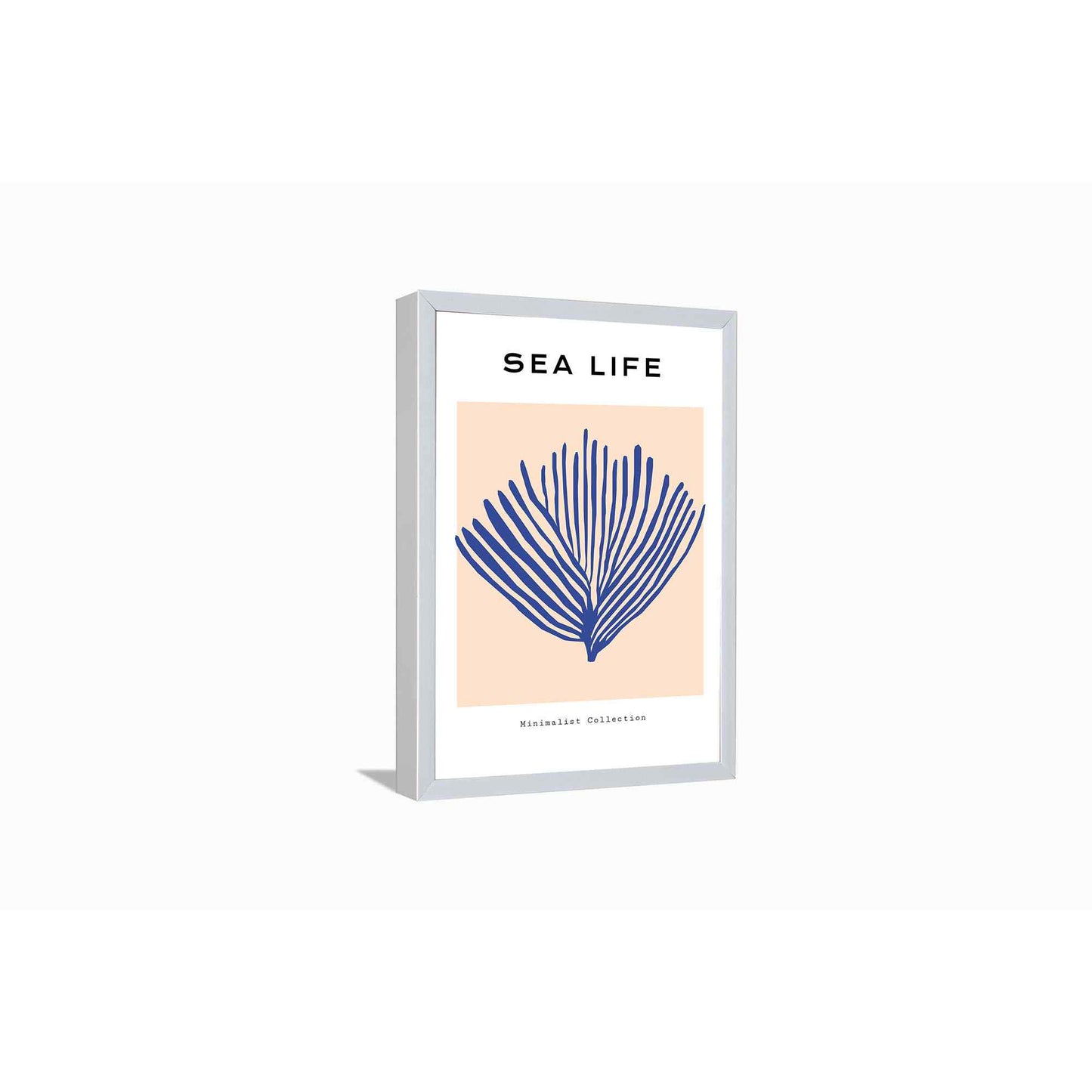 Life in Sea---
