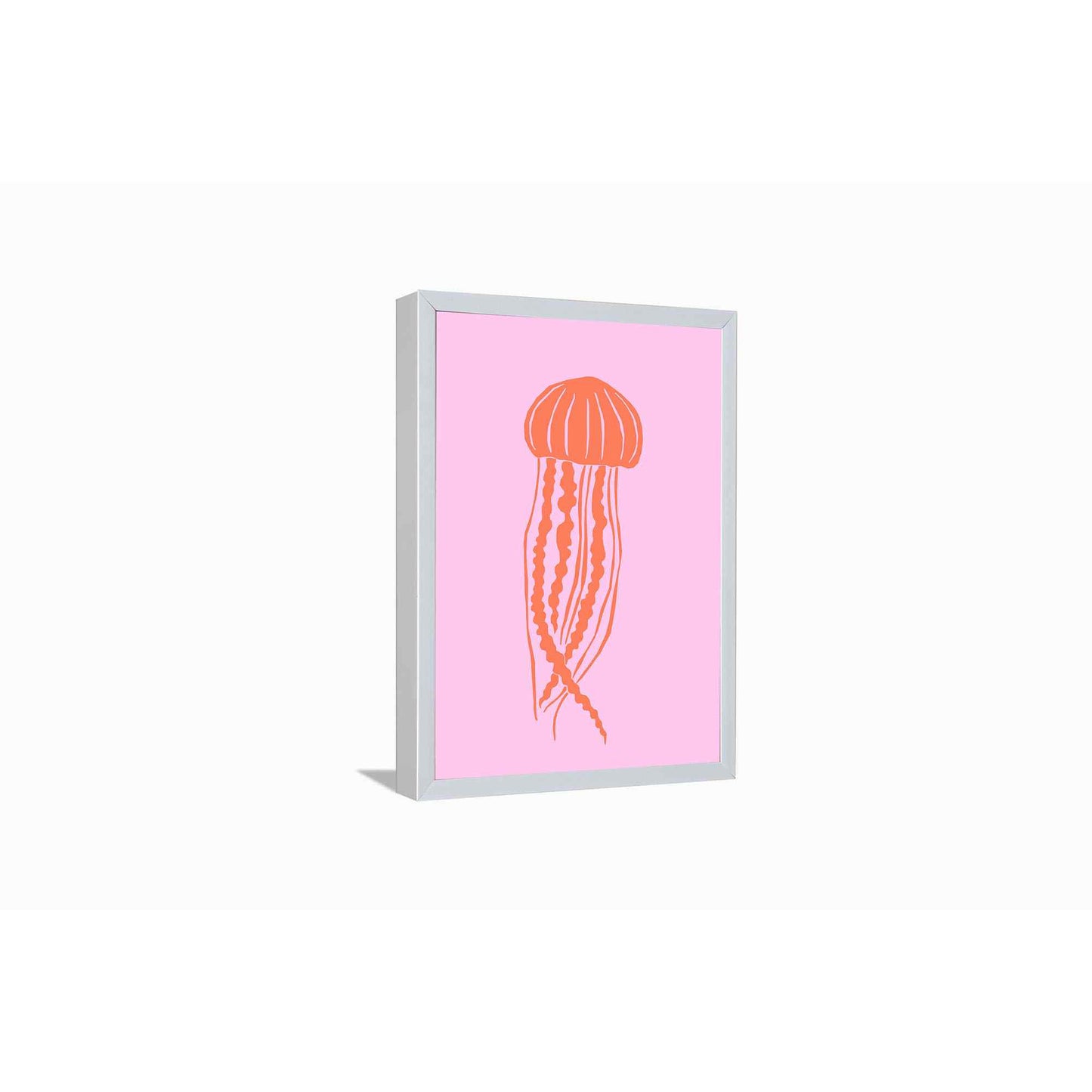 Jellyfish---