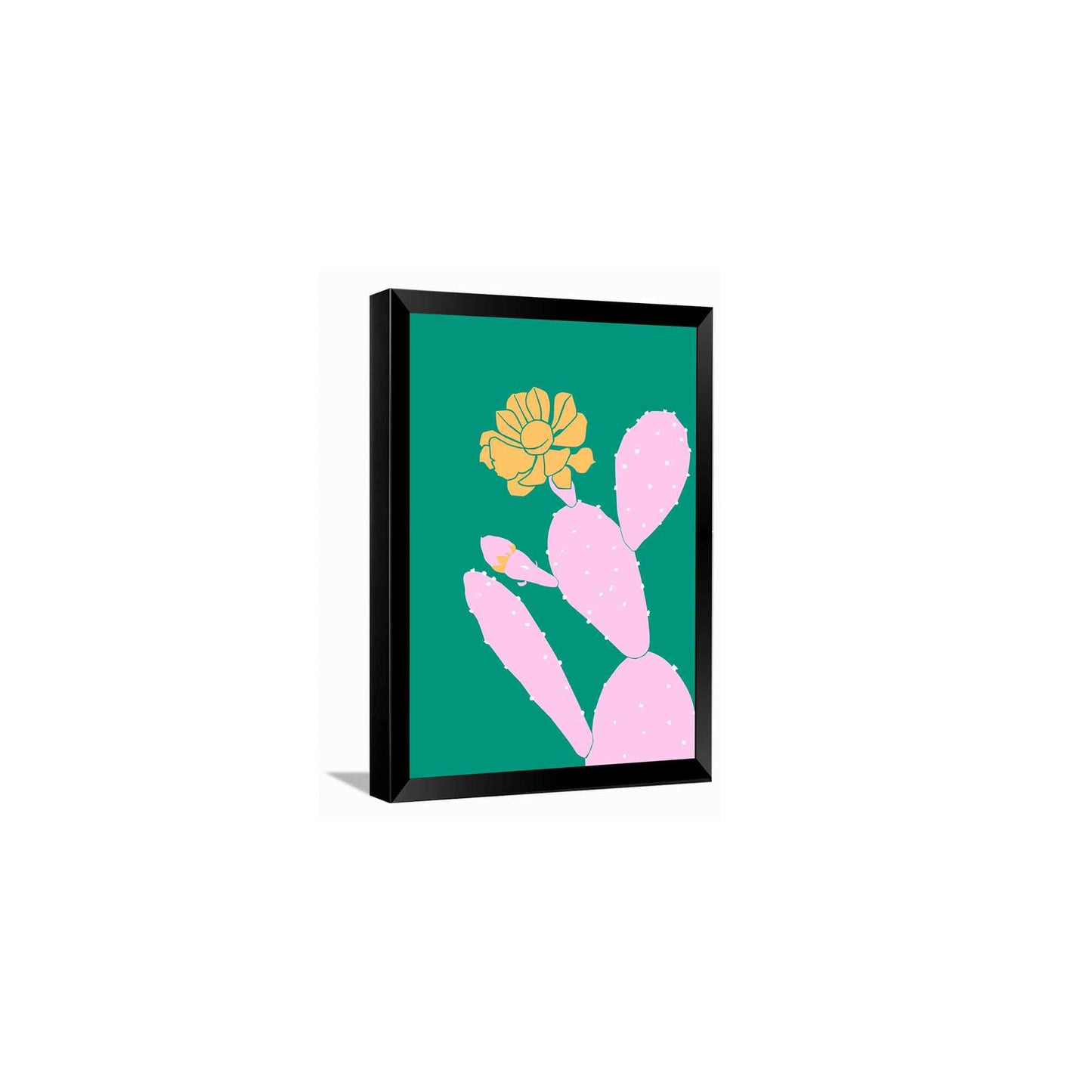 Cactus Flower---