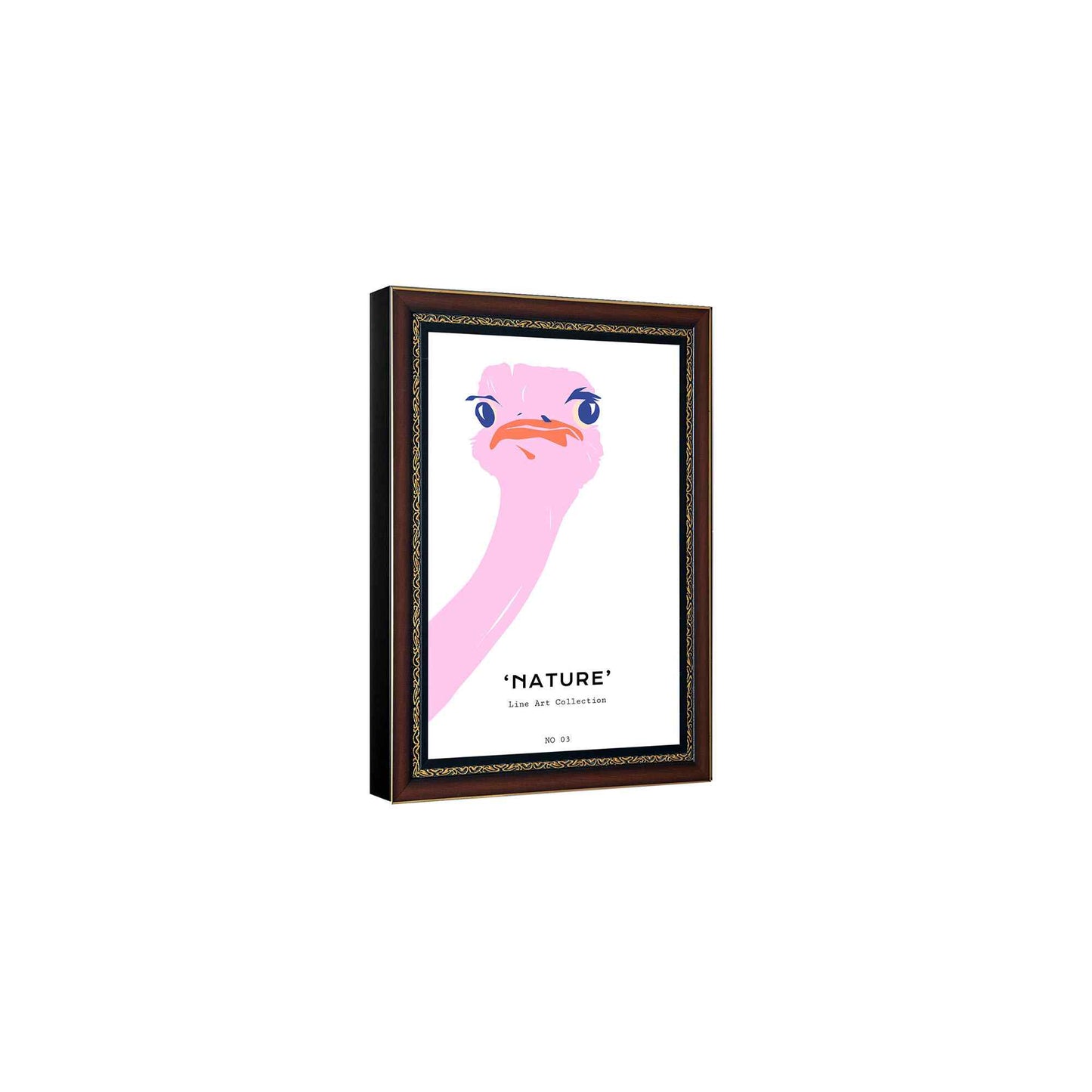 Pink Ostrich---